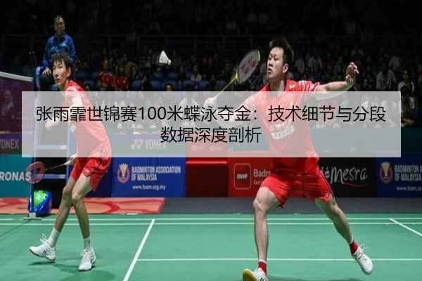 zhang-yu-fei-shi-jin-sai-mi-die-yong-duo-jin-ji-shu-xi-jie-yu-fen-duan-shu-ju-shen-du-pou-xi-2-813.jpg