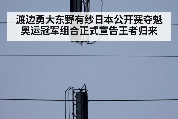 渡边勇大东野有纱日本公开赛夺魁奥运冠军组合正式宣告王者归来