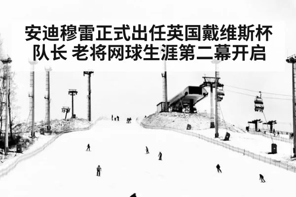 安迪穆雷正式出任英国戴维斯杯队长 老将网球生涯第二幕开启